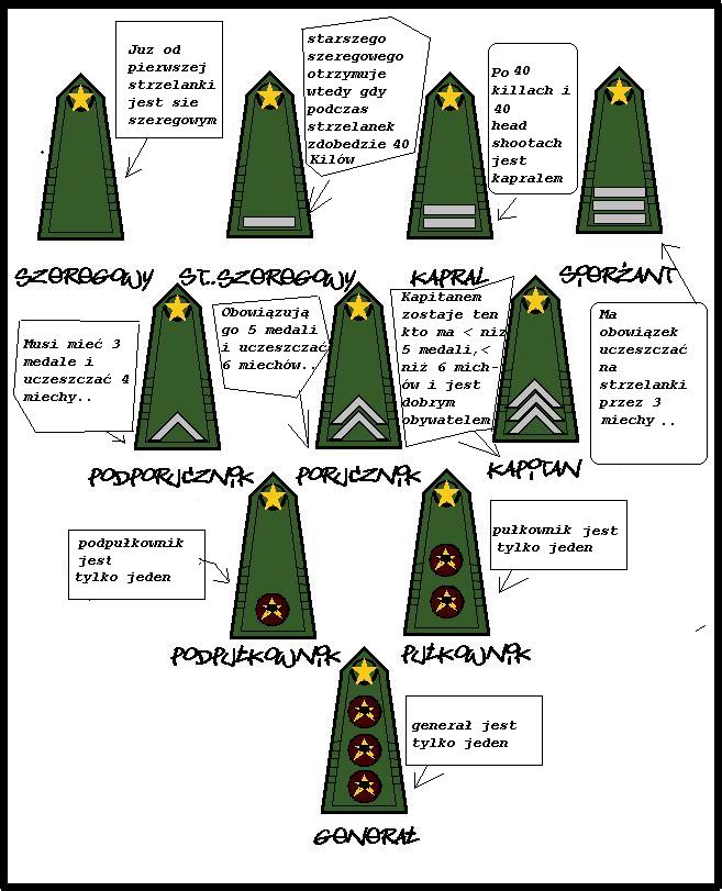 Stopnie Wojskowe Usa A Polskie Stopnie Wojskowe Usa A Polskie - Margaret Wiegel